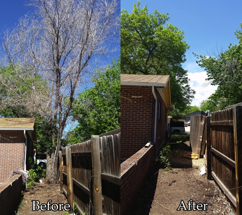 Tanglewood Tree and Lawn LLC - Denver, CO