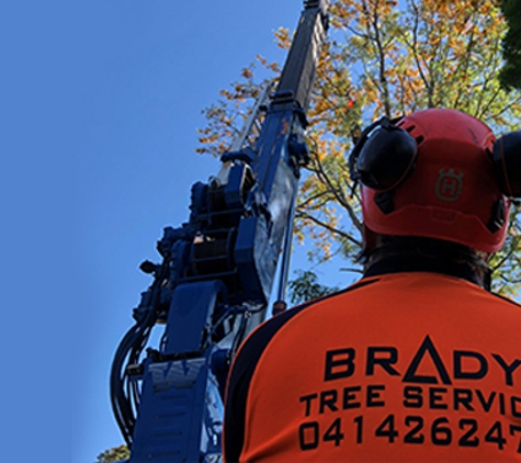 Brady Tree Service Pty Ltd - Kurrajong Heights, NSW. Qualified and trained to do any type of tree work and trained in operating the high risk machinery.