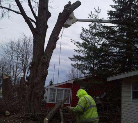 Pfister Tree Service ,LLC - Auburn, IN