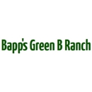 Bapp's Green B Ranch - Party & Event Planners