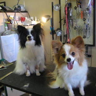 Clipper Ship Pet Grooming - Lake Mary, FL