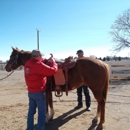 Saddle Up - Saddlery & Harness