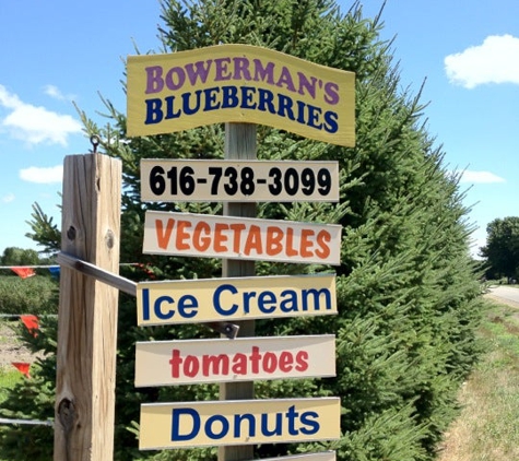 Bowerman Blueberries Farm Market - Holland, MI