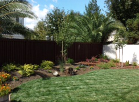 Paradise Landscape & Maintenance - Walnut Creek, CA