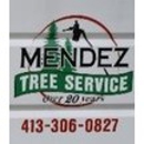 Mendez Tree Service - Tree Service