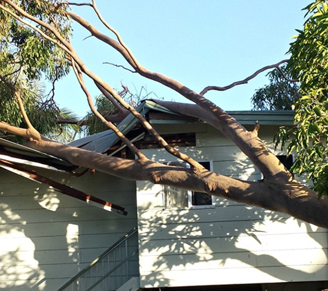 Wade's Tree Service - Andergrove, QLD. Emergency Services Wades Tree Service