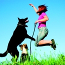 Fetch! Pet Care - Pet Sitting & Exercising Services