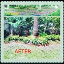Integrity tree care / Oasis Creations - Landscape Contractors