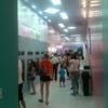 sweetFrog gallery
