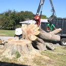 Johnke Tree Service - Tree Service