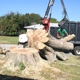 Johnke Tree Service