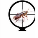 Sniper Extermination - Termite Control