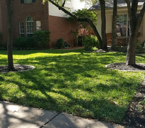 Adam's Tree Services and Landscaping - Austin, TX