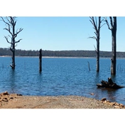 Gallery Image Number 3