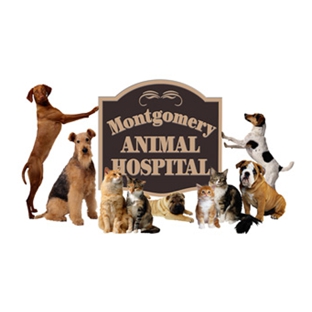 Montgomery Animal Hospital - Flourtown, PA