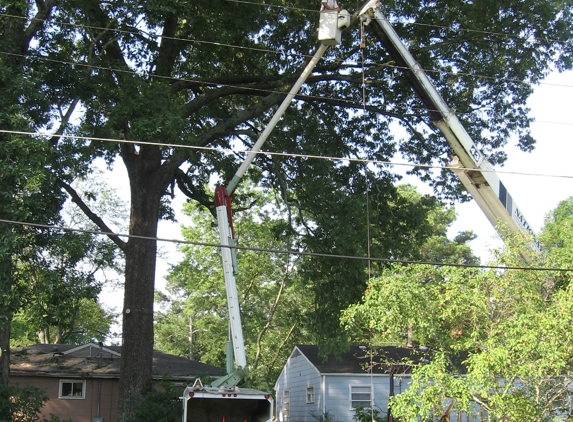 Ron Raby Tree Service