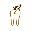 Kennebec Dental Excellence gallery
