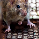 B & M Pest Control - Pest Control Equipment & Supplies