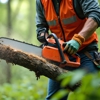 Martinez Tree Service gallery