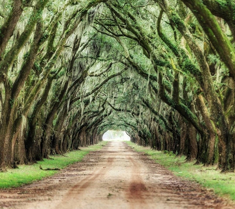 Evergreen Plantation - Edgard, LA