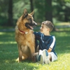 Friendly Pet Boundaries gallery