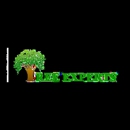 Vick's Tree Experts