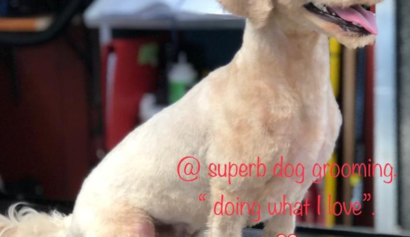 Superb Dog Grooming - Wheelers Hill, VIC