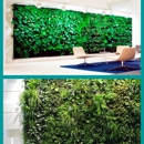 Green Living Wall Inc. - Plants-Interior Design & Maintenance