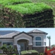 Sod Depot