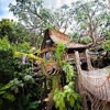 Tarzan's Treehouse™ gallery