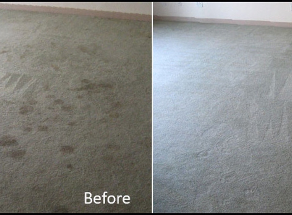 Steamin Deamin Carpet Cleanin Inc - Spring Hill, FL. Amazing work!