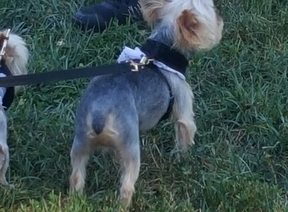 Dapper Dog - New Windsor, NY