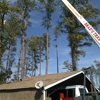 Brad's Tree Service gallery