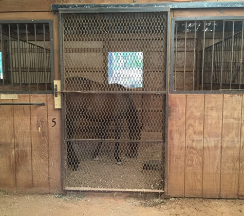 Royal Crest Stable - Canton, GA