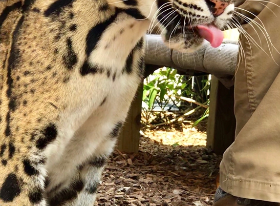 Panther Ridge Conservation Center - Wellington, FL