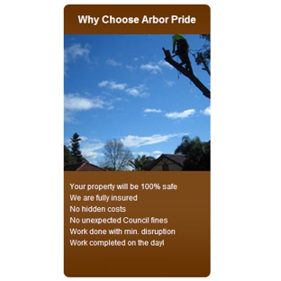 Arbor Pride. - Lane Cove North, NSW