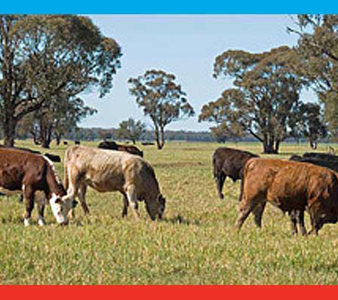 Gregory & McCarthy - Yass, NSW