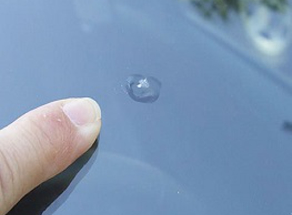 My Pro Auto Glass - Oviedo, FL