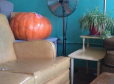 Gallery Image Number 4