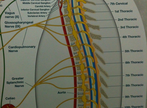 Austin Lake Chiropractic - Portage, MI