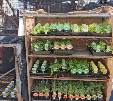 Vermont Fuel & Produce - Vermont, VIC