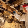 Clark Pest Control gallery