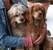 Happy Tails - Pet Grooming
