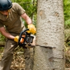 Ferguson Tree & Property Maintenance gallery