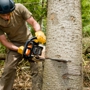 Ferguson Tree & Property Maintenance