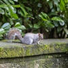Little's Critter & Industrial Services gallery