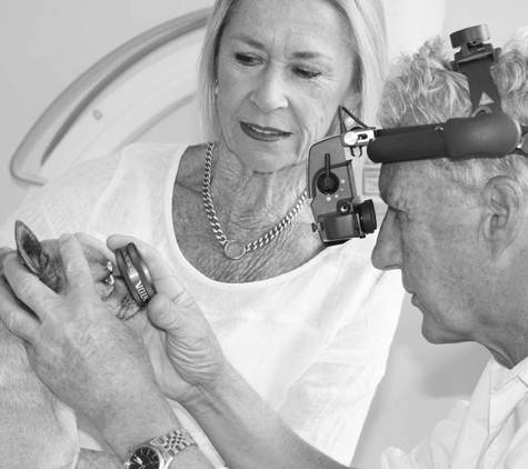 Eye Clinic For Animals - Artarmon, NSW
