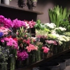 Buncha Blooms Flower Shop gallery