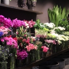 Buncha Blooms Flower Shop