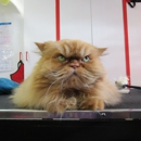 Classic Pet Grooming - Mobile Pet Grooming